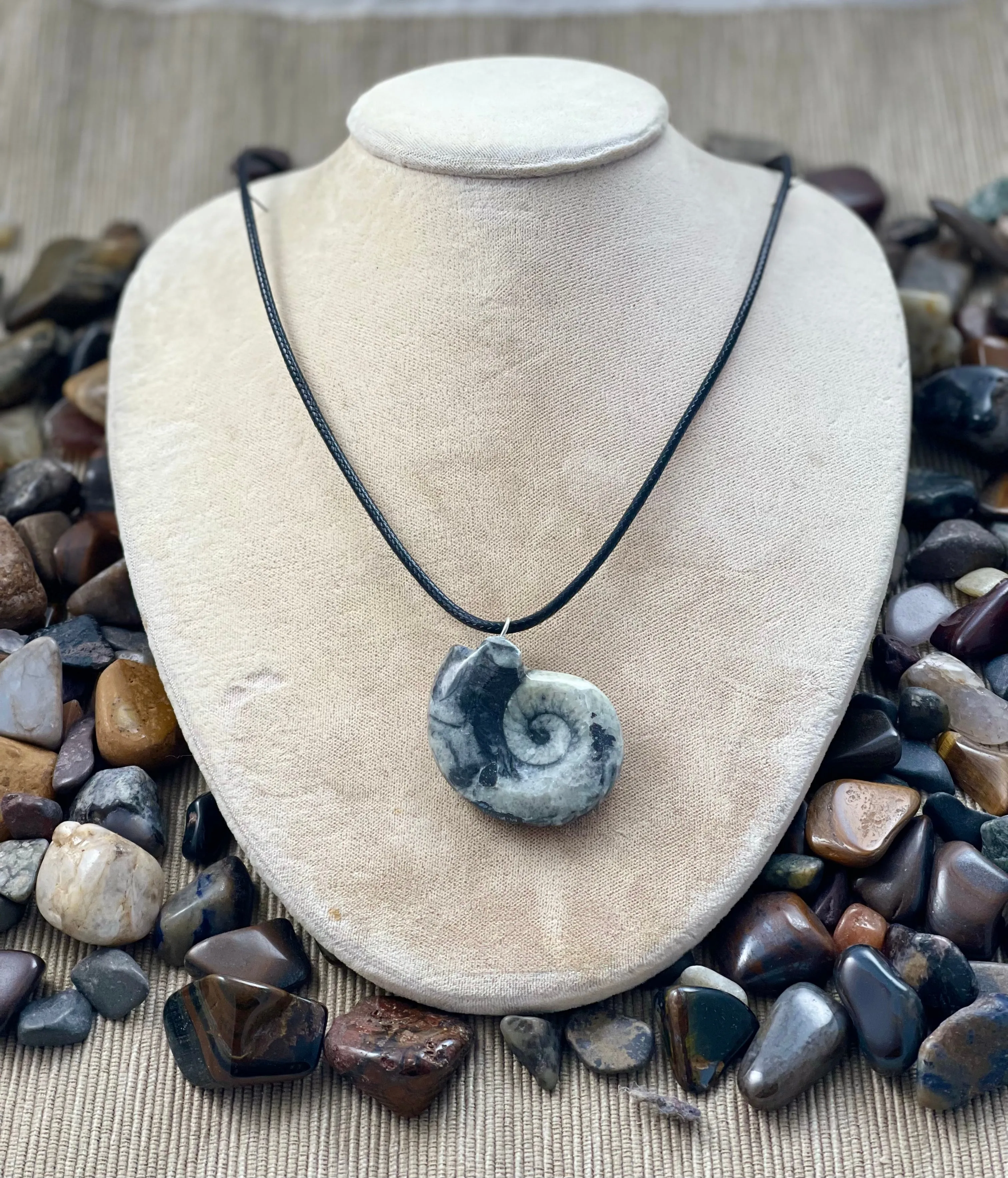 Goniatite Fossil Pendant Necklace