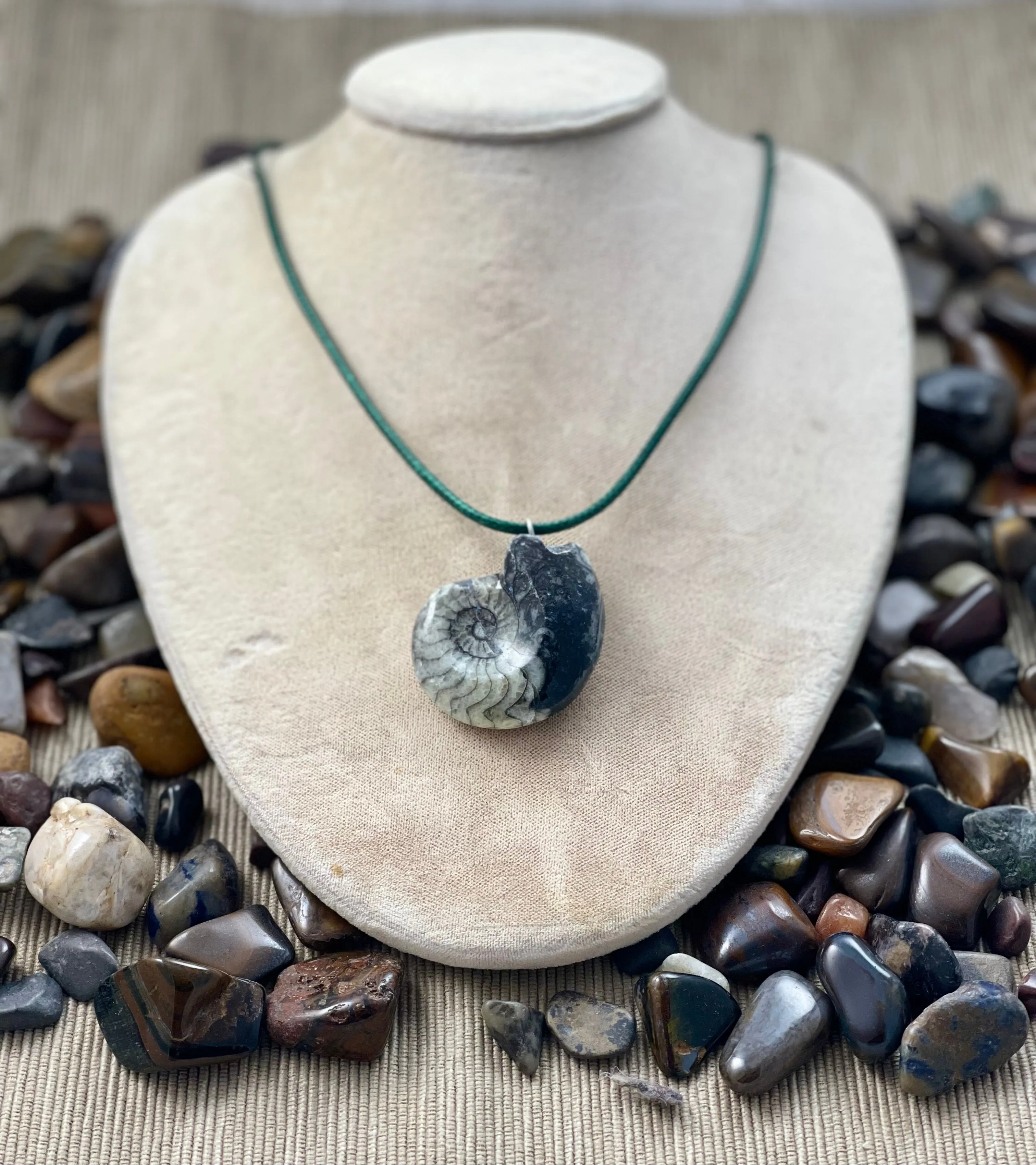 Goniatite Fossil Pendant Necklace