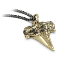 Shark Tooth Necklace - Bronze