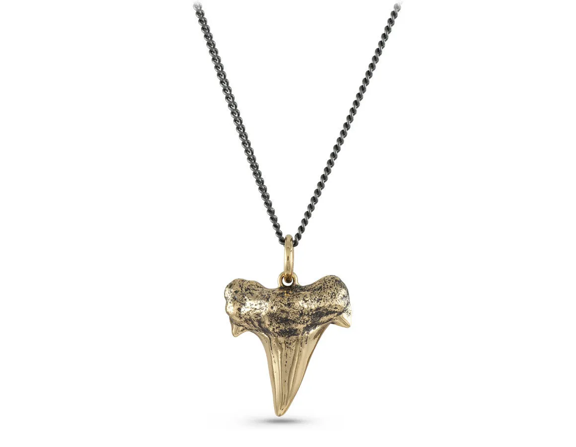 Shark Tooth Necklace - Bronze